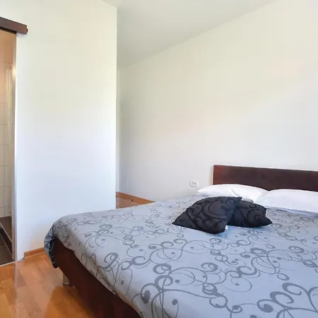 Pet Friendly In With Kitchen